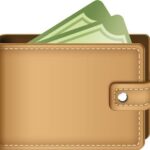 Money bag